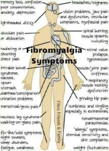 1004952_360833337391235_1694867236_n