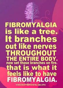 10420316_10205675275506712_4539224901500004056_n