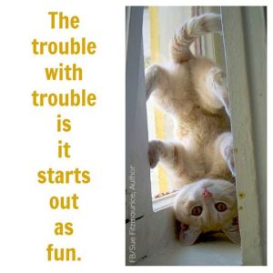 10404457_846451885375753_2604323202342000626_n