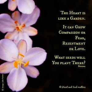 10848058_422093407937902_2586513439174429478_n