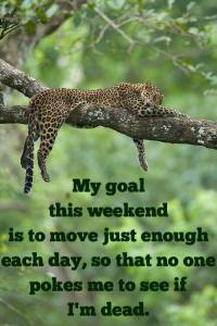 10401351_780252765343270_3050223638809174591_n