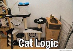 cat-logic-meme