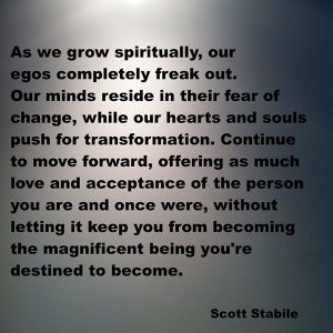 11001673_747398705358066_7412868761498275804_n