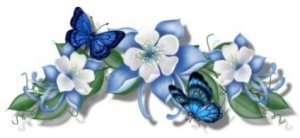 bluebutterflies