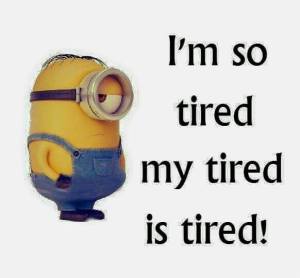 11295731_900737413326770_5005545194150627075_n