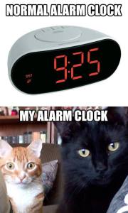 alarmclock