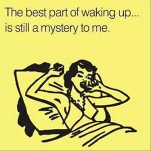 11428037_912021812198330_3313626542023688712_n