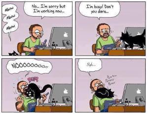 11703356_831025860285111_9089117760914070726_n