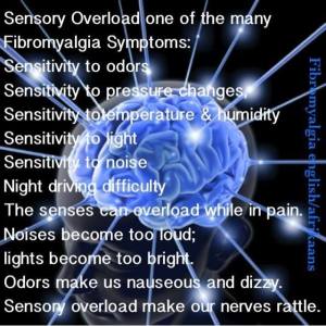 1601324_1131332816884091_3989658827332551365_n