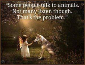 1452147_777483752268491_1000203018_n