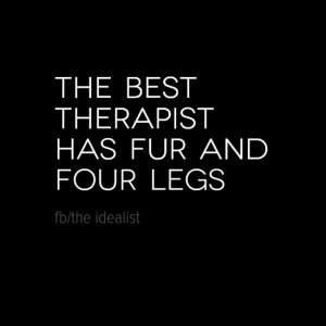 thebesttherapist