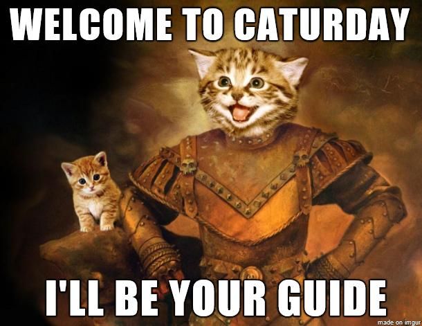 caturdayguide
