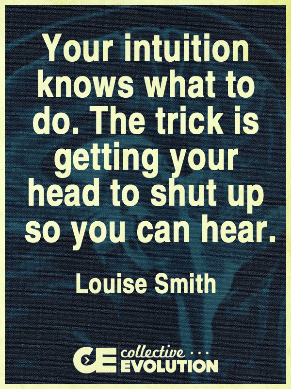11057477_10153405538443908_1070521288376476532_n