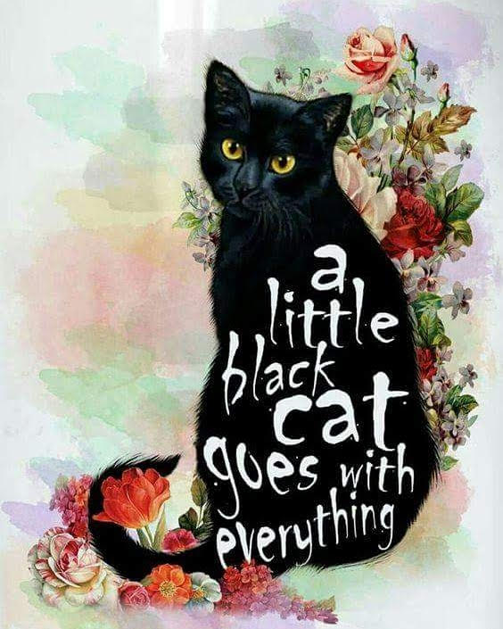 img_20180612_002832_065