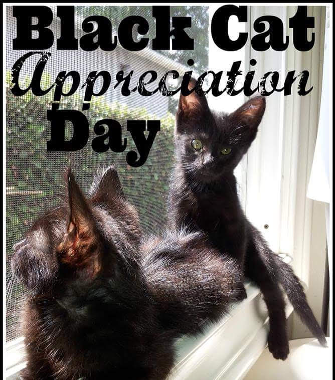 img_20180817_000339_031