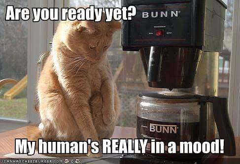 img_20180820_215052_922