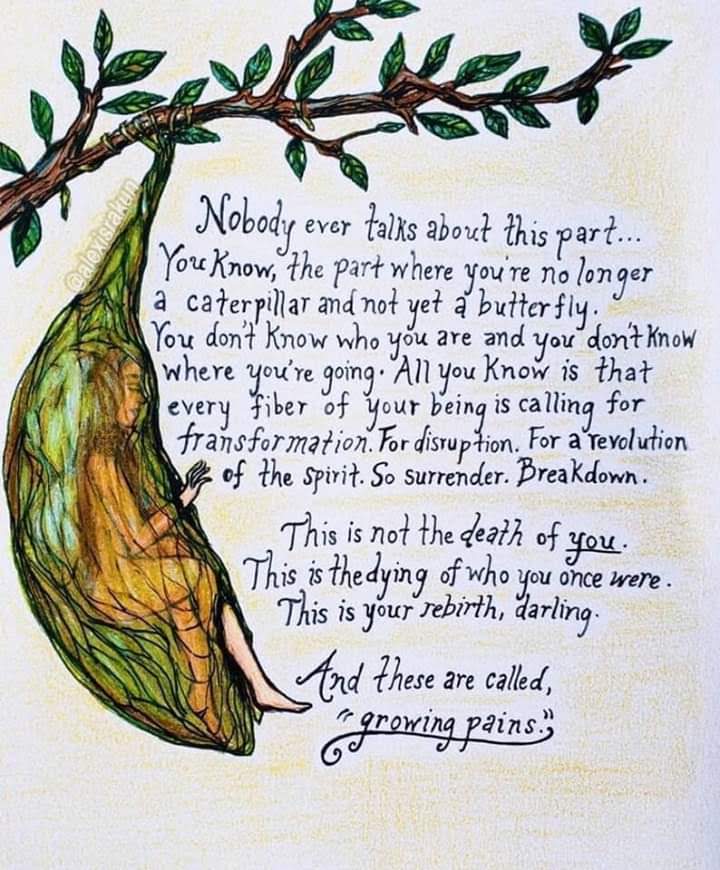 facebook_1540355540234