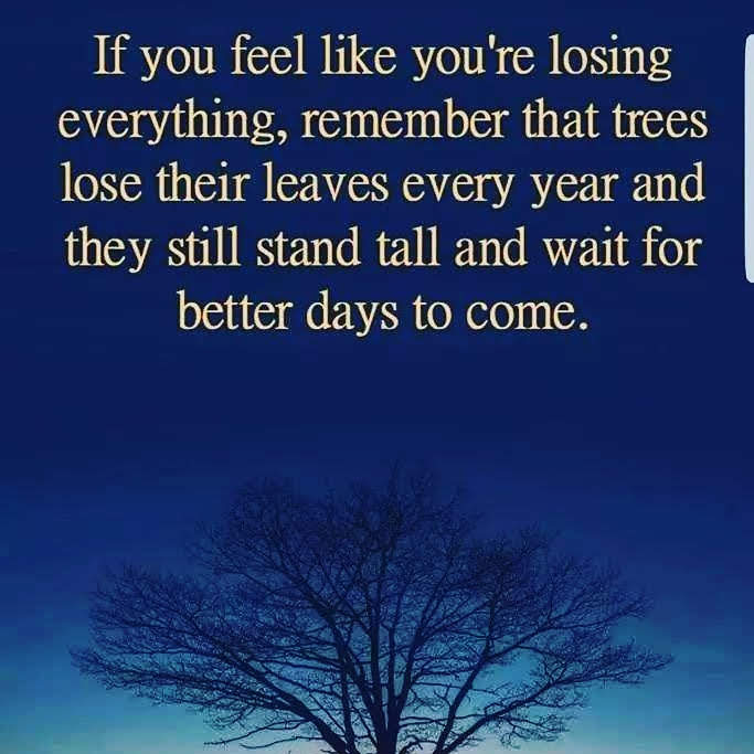 img_20181204_024537_748