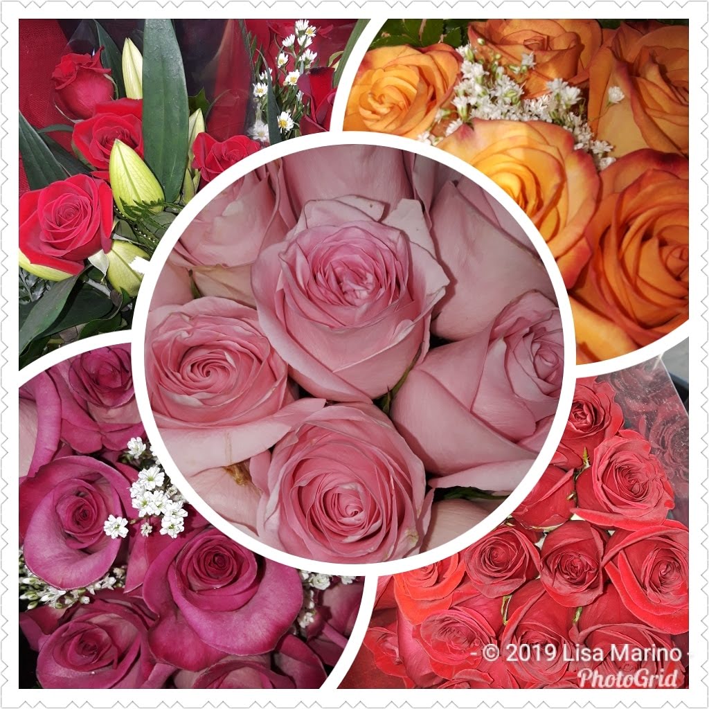 img_20190214_154314_646