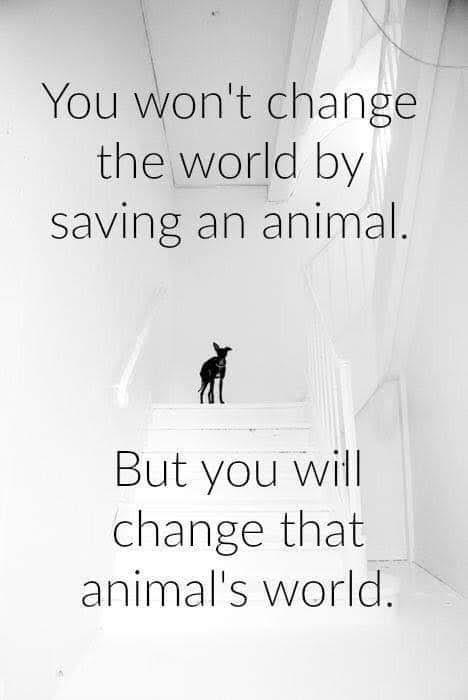 facebook_1554273215231