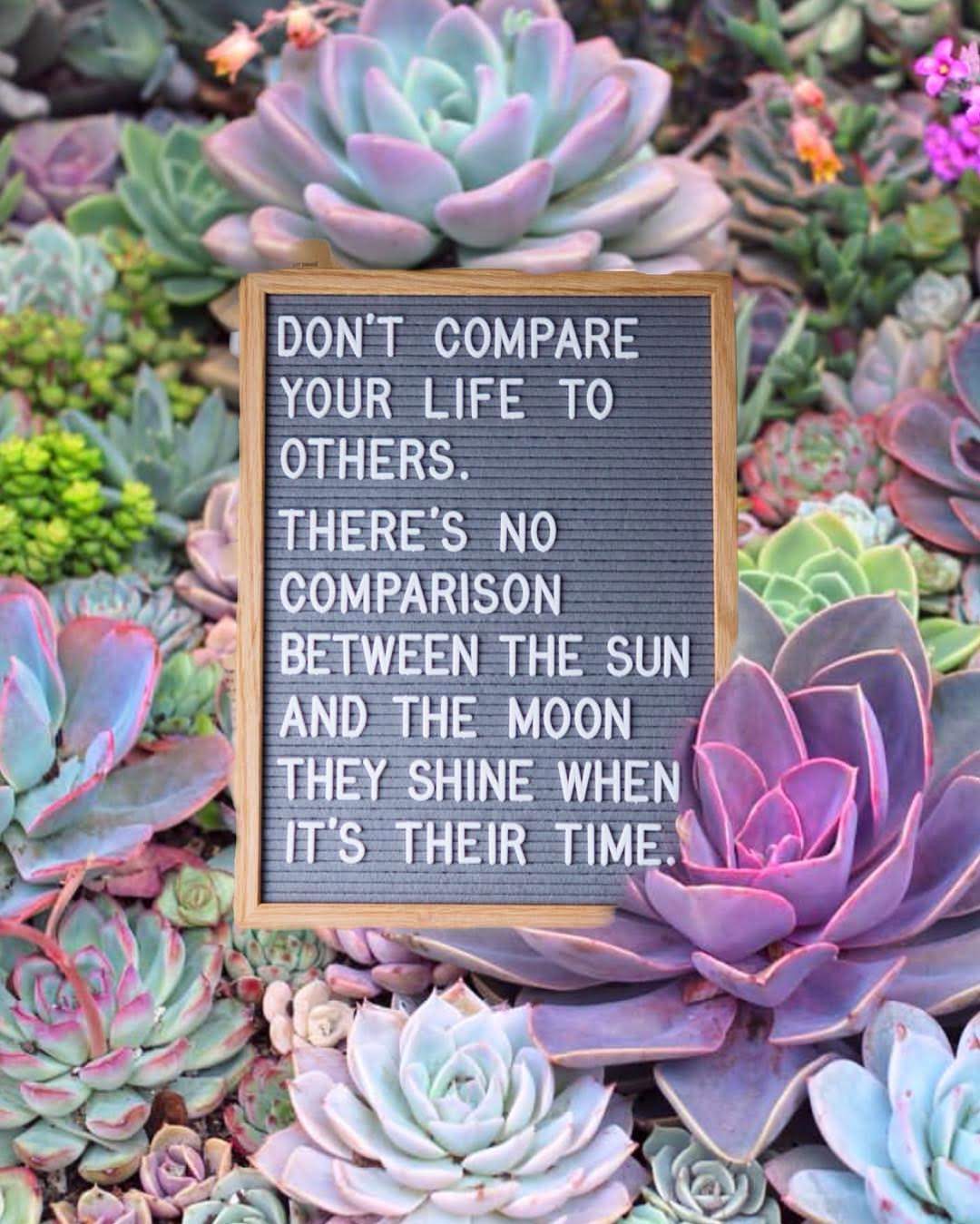 mal_wingostarrjewelry-1555171305770