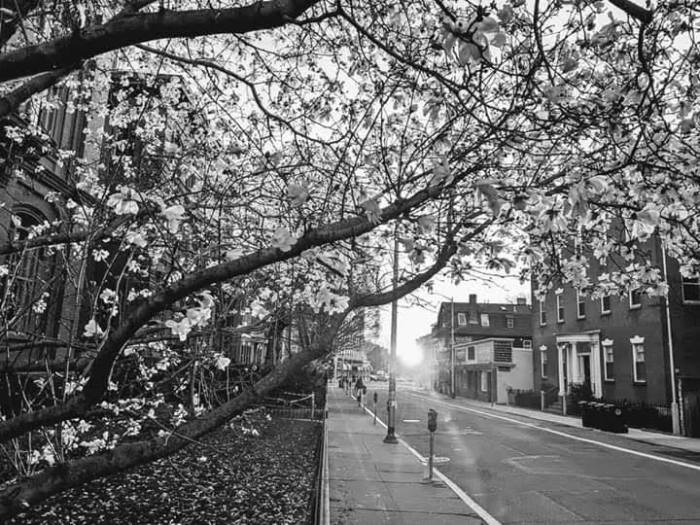 facebook_1559714890545