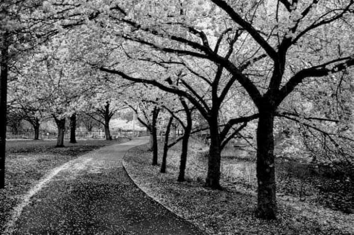 facebook_1560547103516