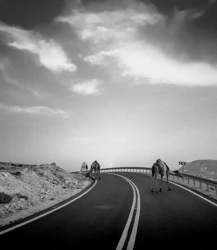 facebook_1561844099584