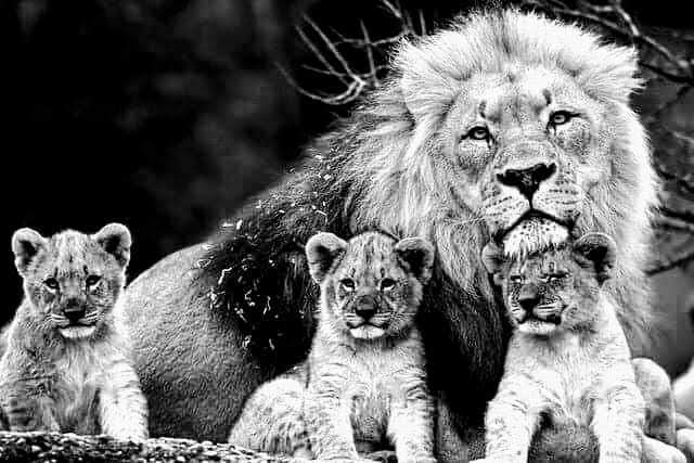 facebook_1562012092246