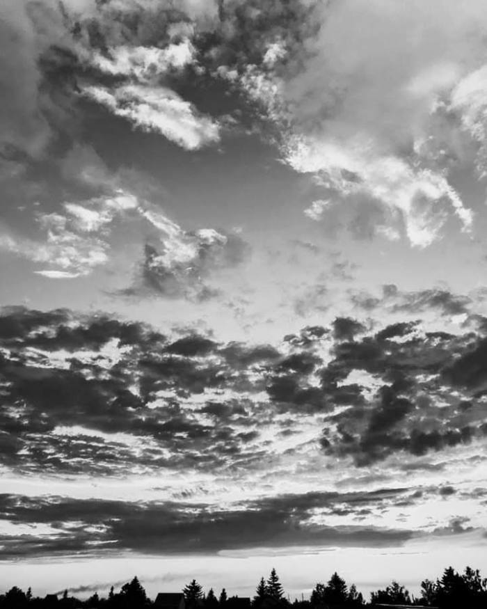 facebook_1562295413627