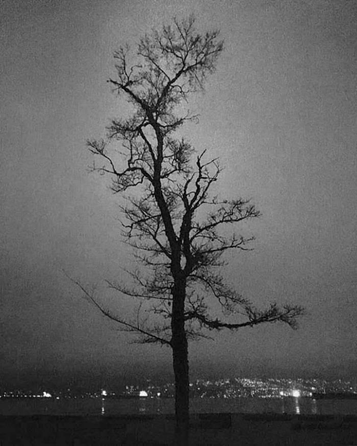 facebook_1562547560995