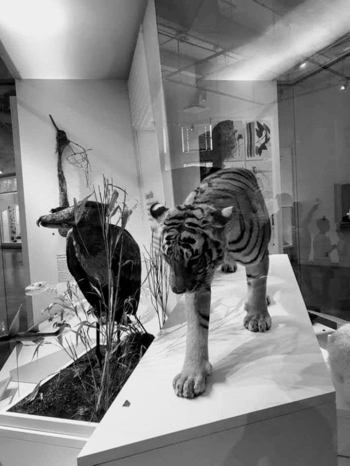 facebook_1563049348277