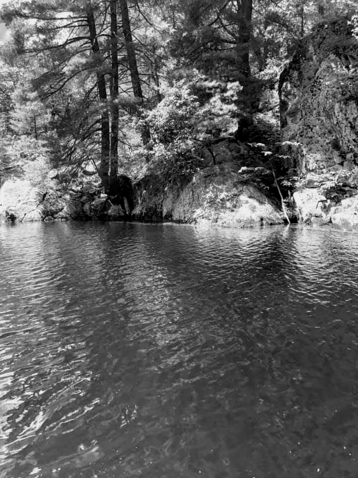 facebook_1563243445708