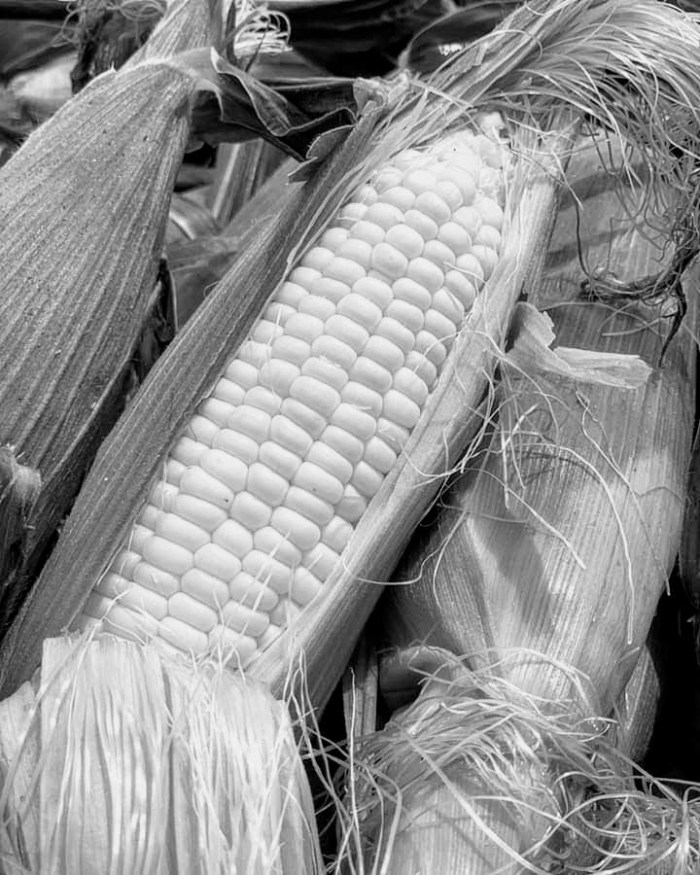 facebook_1564606650217