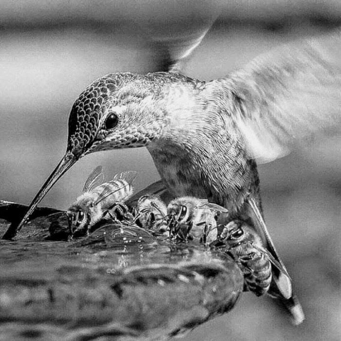 facebook_1565014546989