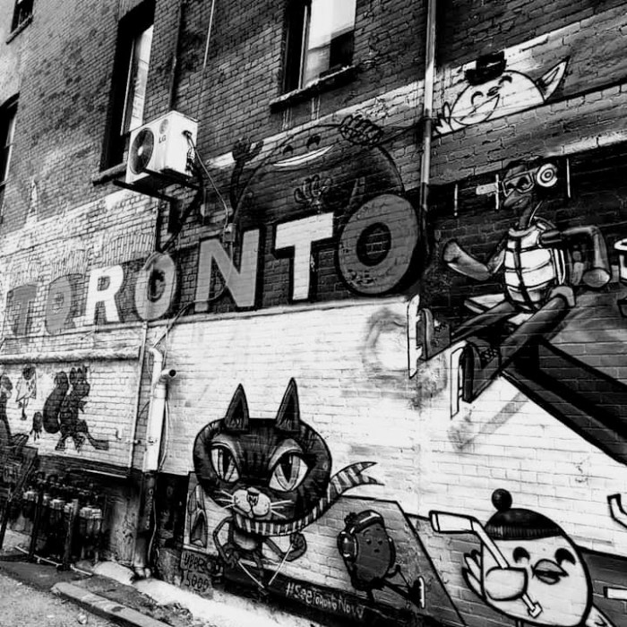 facebook_1565116319500