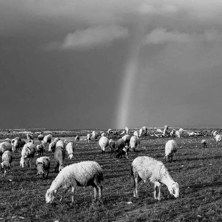 facebook_1565646833229