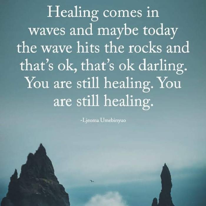 like.a.lotus_.flower-1566163727583