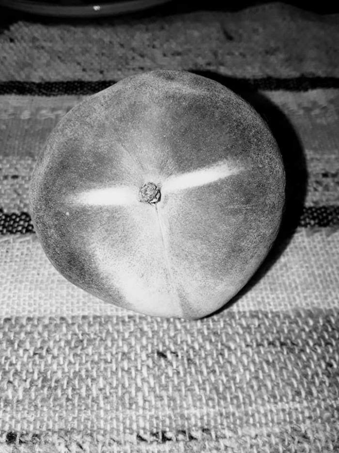 facebook_1568037940699