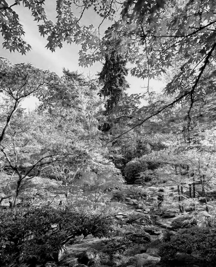 facebook_1568062332649