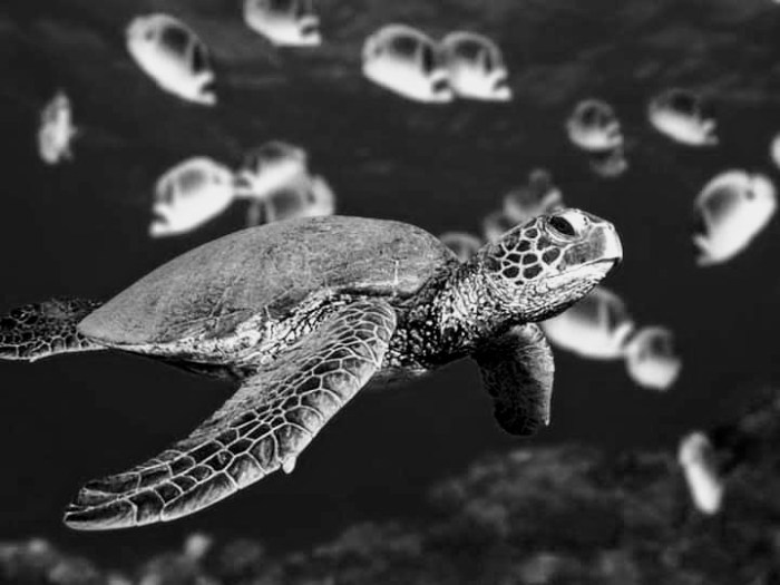 facebook_1568253364226