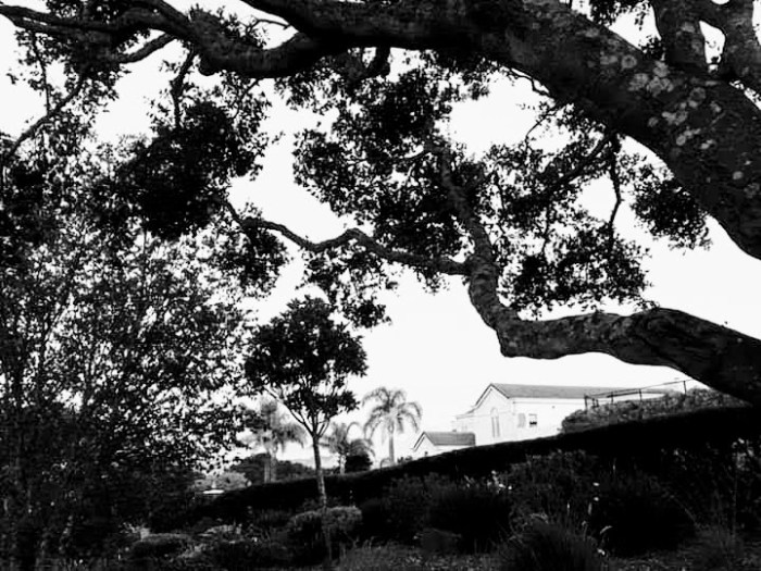 facebook_1568490365558