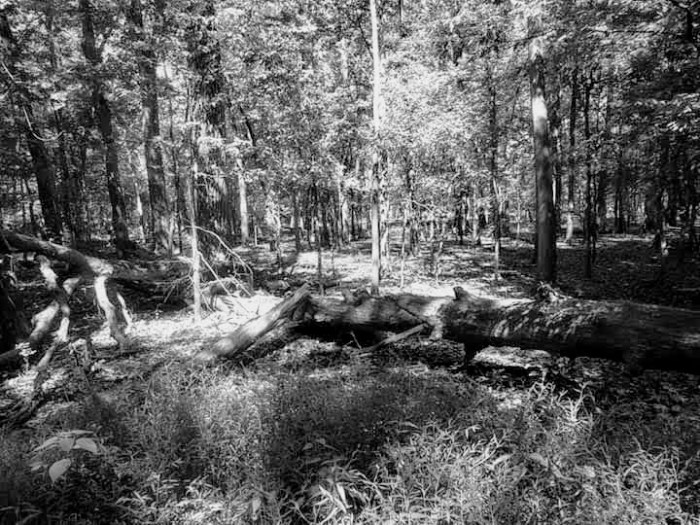 facebook_1568504293866