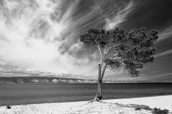 lake-baikal-scenery-768x512