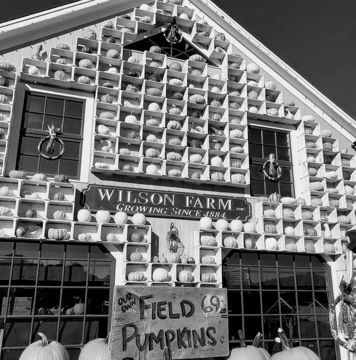 facebook_1569716523854