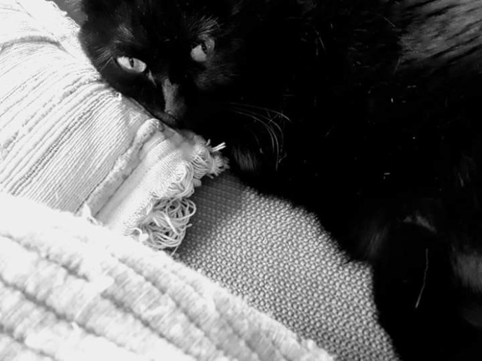 facebook_1570832688128-1