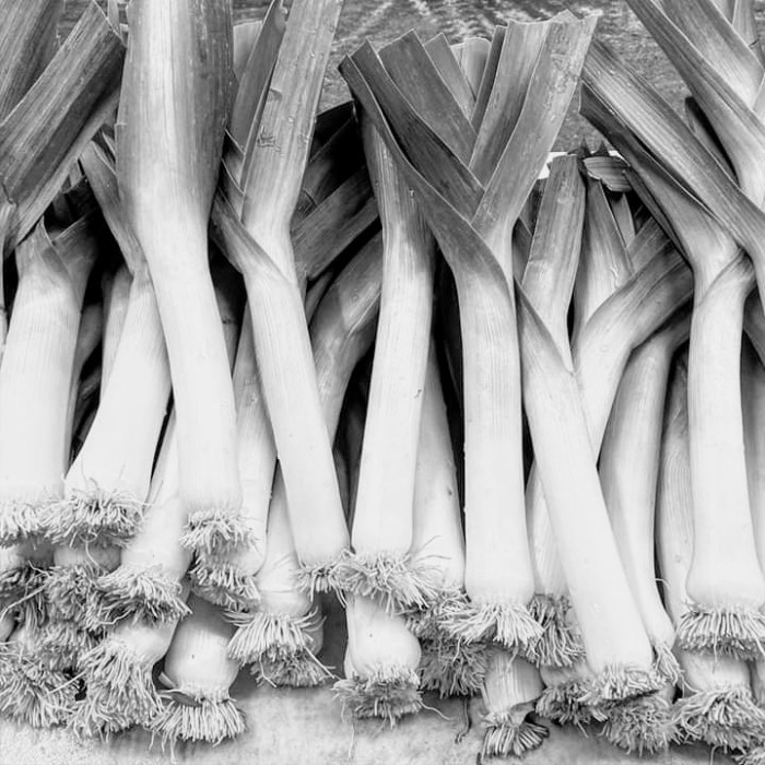 facebook_1571445880369