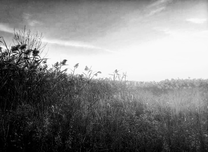 facebook_1571702027916