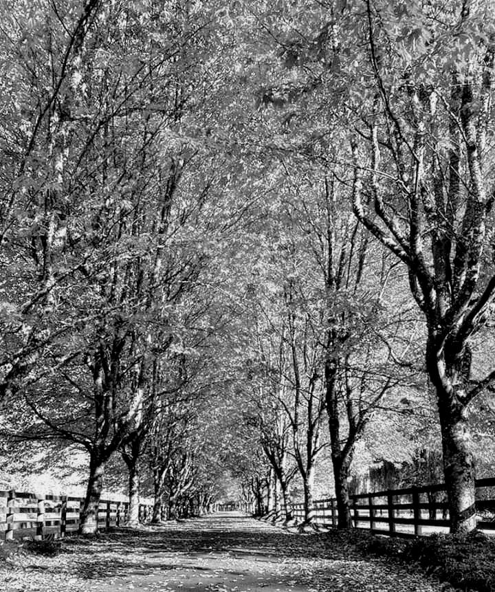 facebook_15719642935922