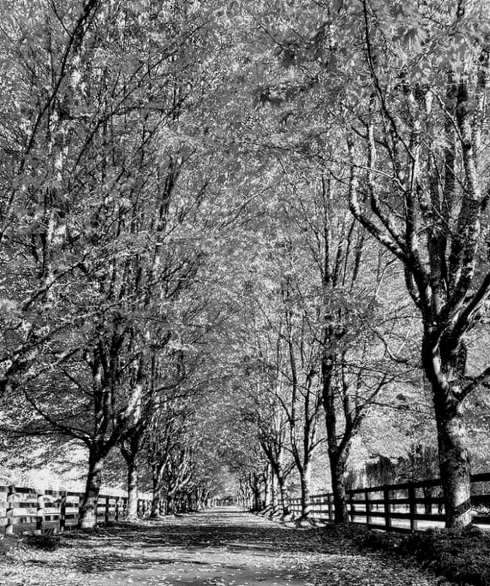 facebook_15719642935922